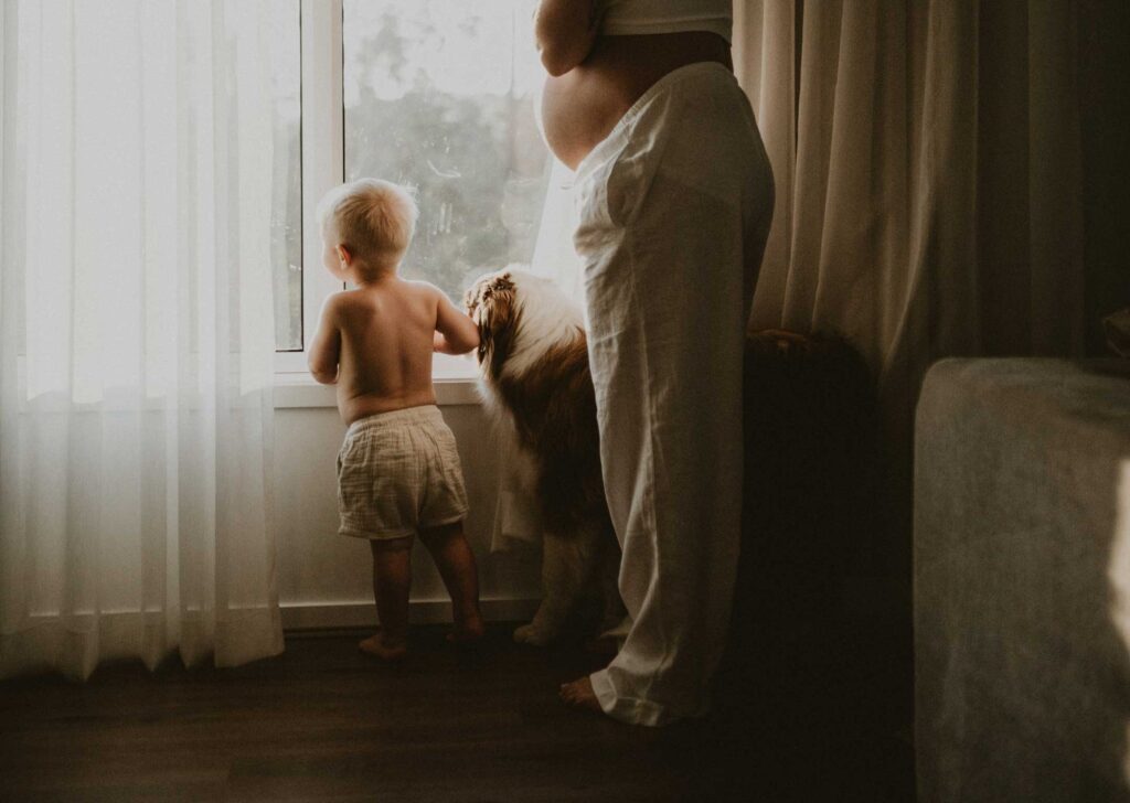 Home maternity photos with dog