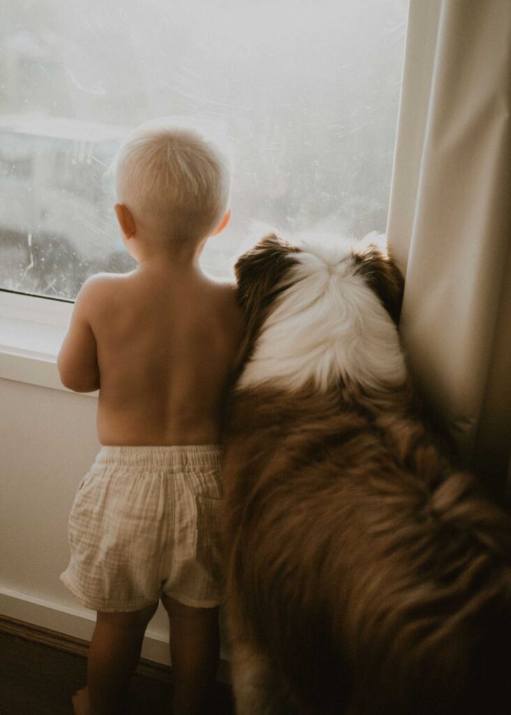 family photography with dogs