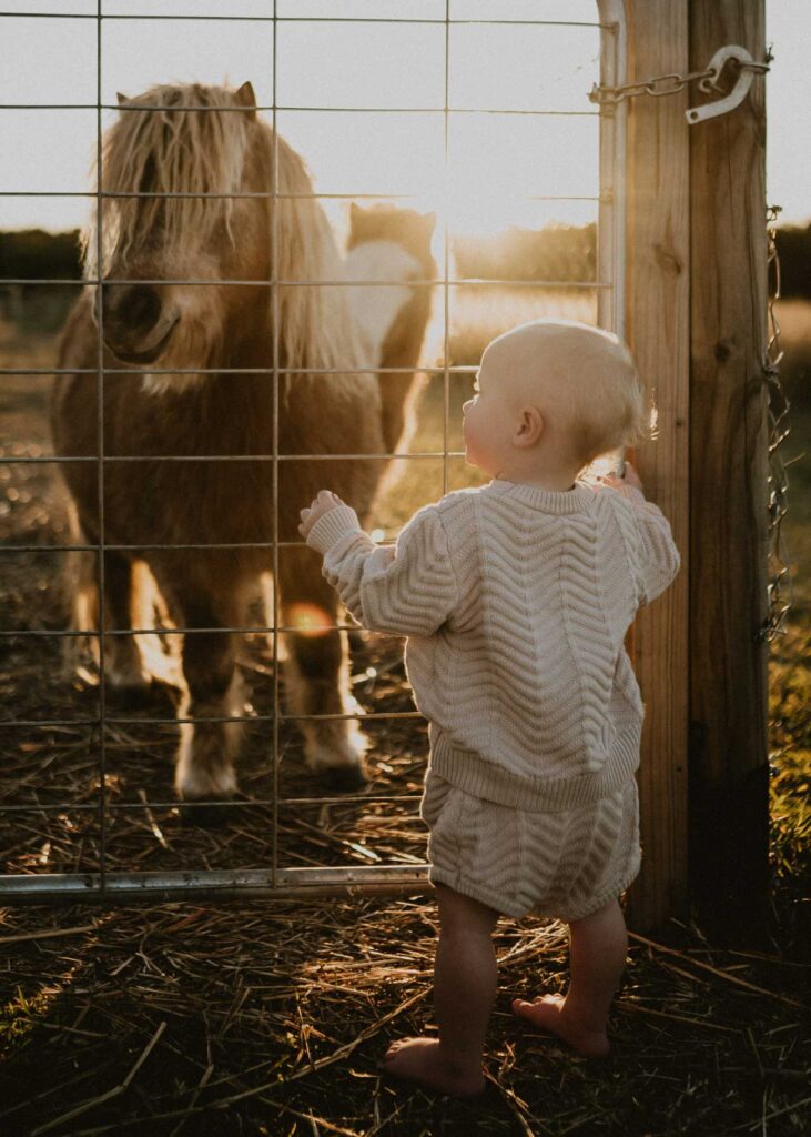 family photography with pony