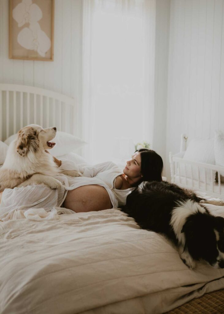 maternity family photography with dogs