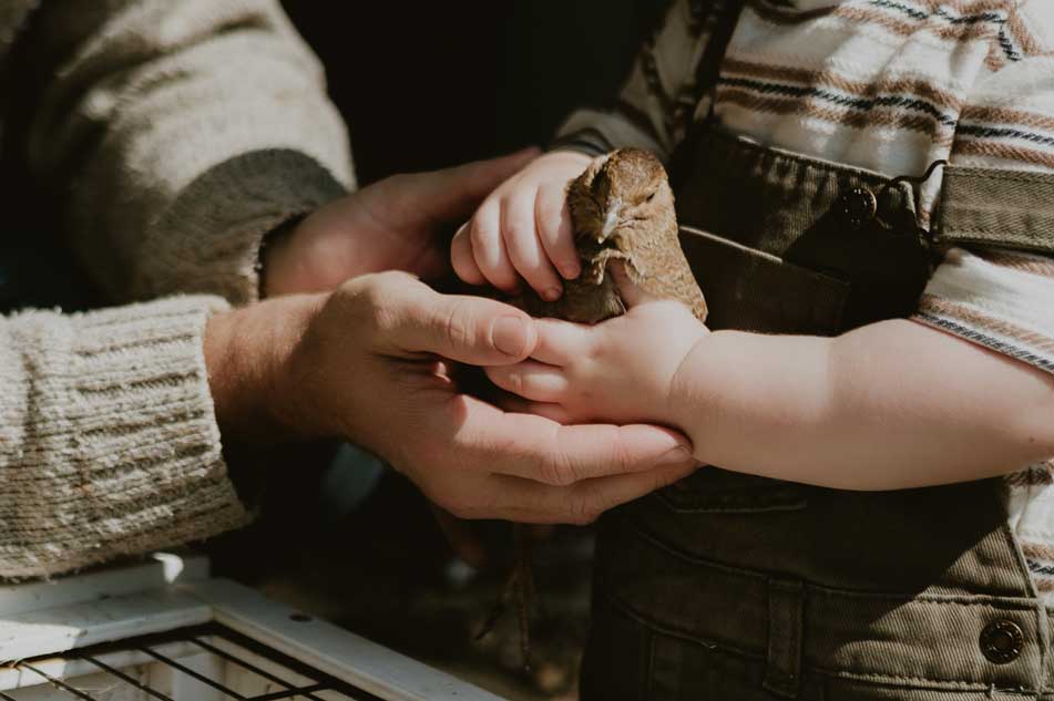 family photography with pets