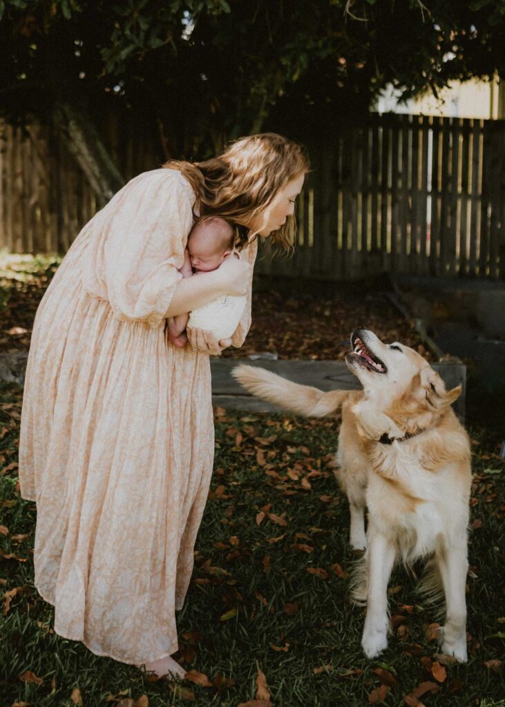 family photography with dogs