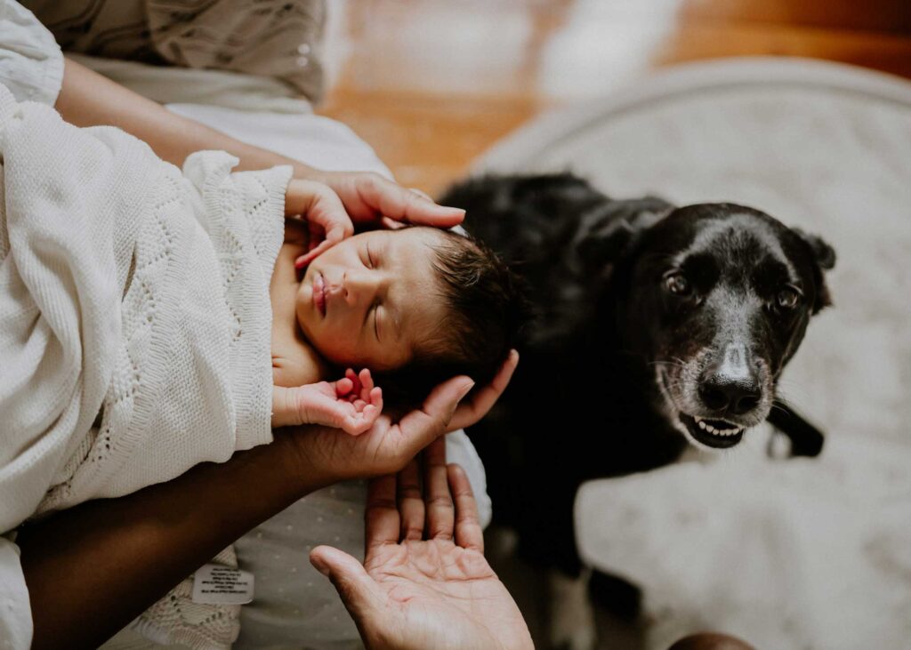 Newborn Photos at Home with pets